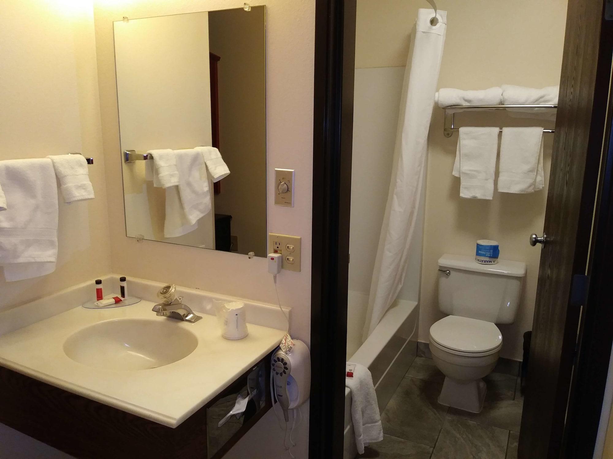 Surestay Hotel By Best Western Twin Falls Room photo